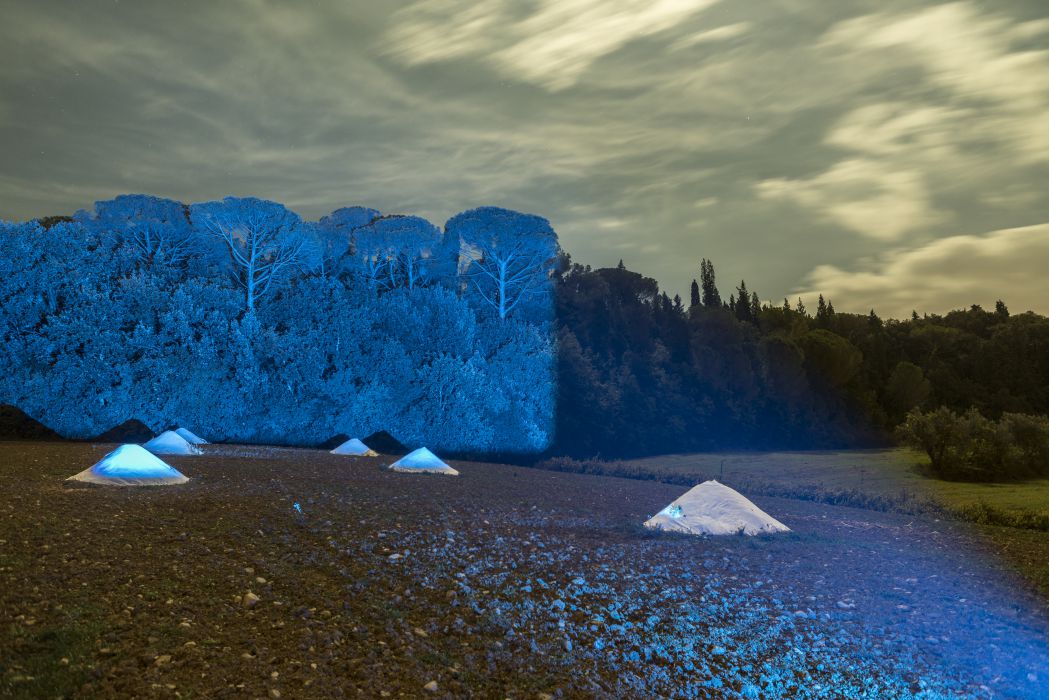 Marco Bagnoli, Sentiero, 2017